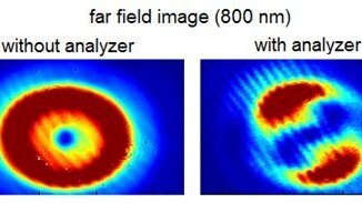 Far field image of a nanograting-based wave plate for the generation of radialazimuthal polarization